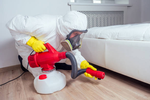 Best Fumigation Services  in Broussard, LA